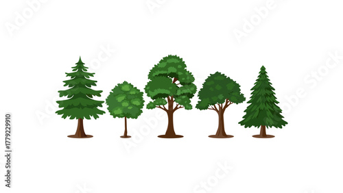 Diverse Trees Collection: A collection of various trees showcase a diverse range of botanical forms and textures, embodying the beauty and variation found in nature.