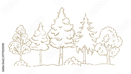 Forest Silhouette: An elegant artistic interpretation of a forest, composed of diverse trees. showcasing a balance of natural shapes and a serene vibe.