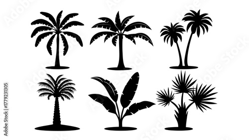 Tropical Silhouette: A collection of meticulously crafted silhouettes of tropical trees evokes a sense of warm tropical getaway.