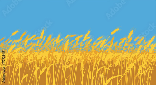Field of golden wheat swaying in the breeze under a clear blue sky