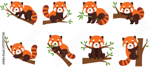 Cartoon red panda set lounging and climbing on tree branches, vector illustration for wildlife behavior and playful animal concept