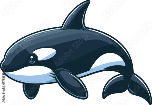 シャチのイラスト