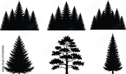 Pine and spruce tree silhouette set, forest landscape vector design, nature illustration, outdoor woodland art, black evergreen trees graphic, wilderness environment decoration