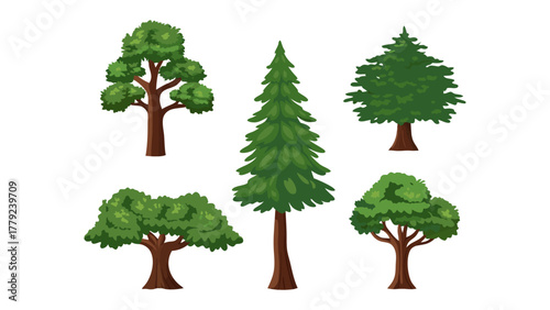 Diversity of Trees: An illustration showcasing a diverse collection of trees, each with a unique shape and foliage, stands as a testament to the variety found in nature's artistry.