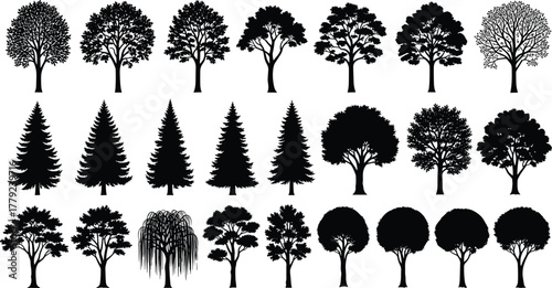 Silhouette of different tree types, forest vector collection, nature landscape illustration, black botanical design, woodland graphic art, seasonal tree shapes