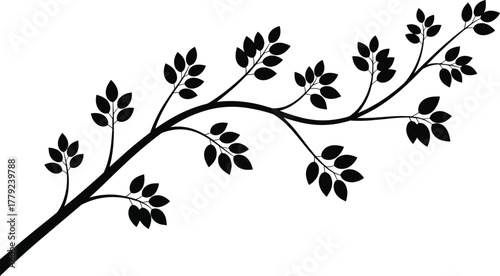 Silhouette of tree branch with leaves, botanical vector design, nature illustration, floral decoration art, black plant pattern, natural leaf element, minimalist foliage graphic