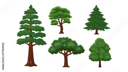 Variety of Trees: Illustration of diverse tree types, showcasing different leaf forms and trunk shapes.