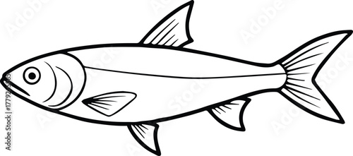 shad fish outline vector for seafood and nature design