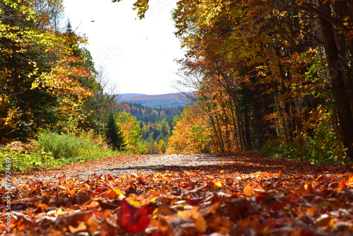 A country road in autumn, Sainte-Apolline, Québec, Canada