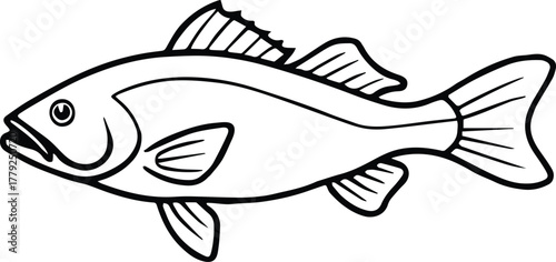 smallmouth bass outline vector for fishing and nature design