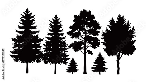 Forest silhouette: A group of majestic trees silhouettes standing tall against the sky. Illustrating the beauty of forest.