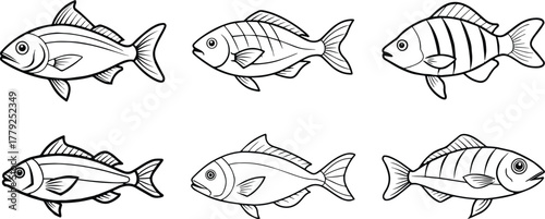 Set of snapper fish outline vector for seafood and marine life design
