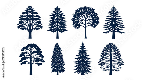 Diversity of Trees: Silhouette of trees represent a variety of arboreal forms, each with unique characteristics. It evokes the quiet strength and enduring presence of the natural world.