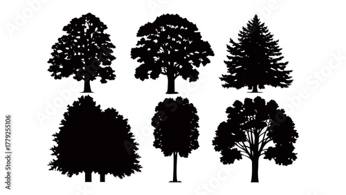 Tree Silhouette Collection: A diverse compilation of tree silhouettes, highlighting a variety of shapes and styles, provides a unique set of elements for any design project.