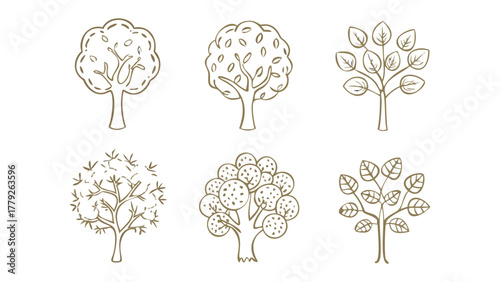 Tree Variations Illustrated: A collection of six diverse tree illustrations, each showcasing unique characteristics, from lush foliage to intricate branch patterns, perfect for design needs.