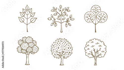 Tree Sketches: An artistic arrangement of meticulously drawn trees showcase nature's unique forms, perfect for environmental-themed projects and adding an elegant touch.