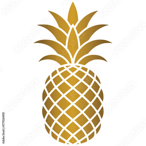 pineapple vector illustration