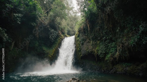 Hidden Waterfall in a Lush Tropical Forest