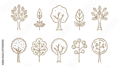 Botanical Sketch: A collection of various trees, each crafted with delicate lines, showcasing the diverse beauty of nature's arboreal wonders.