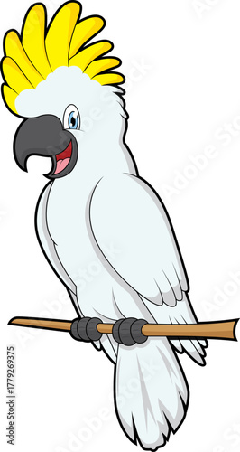 Cute cockatoo in branch