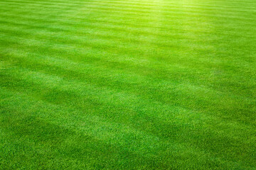 Grass background - Sunny landscape view of a large patch of some freshly cut, healthy, green grass mowed in a checkerboard pattern.