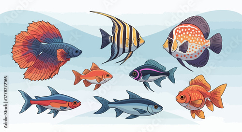 Collection of Colorful Tropical Fish Species in an Aquarium Setting.