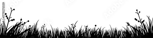 a minimalist illustration of autumn meadow in black and white