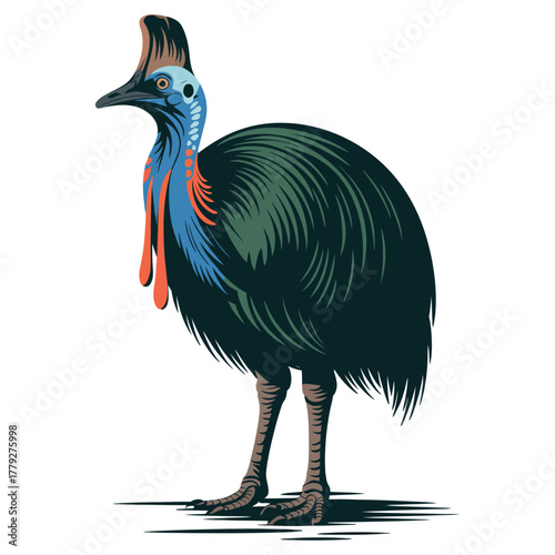 Cassowary