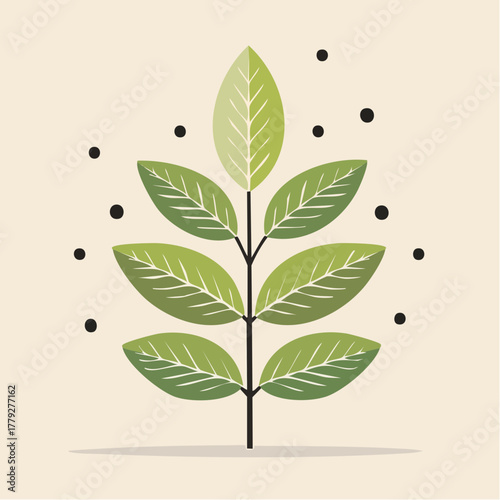 Abstract Illustration Of A Green Leafy Branch With Black Dots On A Cream Colored Background With Soft Shadows