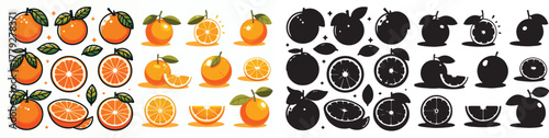 Set of vector and shilhouttes images of citrus fruits on a white background
