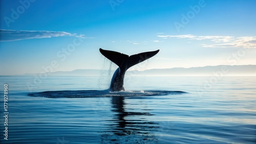 Wallpaper Mural Majestic whale tail rising from the calm ocean during serene marine wildlife scene with vibrant blue water and clear sky, highlighting marine life and ocean environment Torontodigital.ca