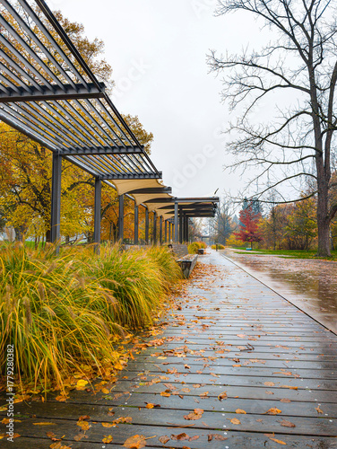 Perspective view of a long metal pergola structure lining a path in a park on an overcast autumn day