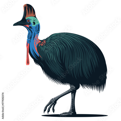 Cassowary