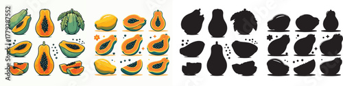 Set of vector and shilhouttes images of papaya fruit on white background