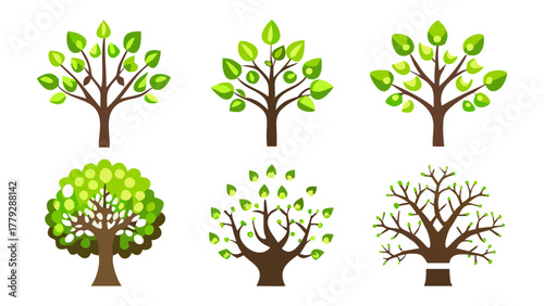 Nature's Showcase: A collection of various tree designs. Displaying a diverse range of botanical illustrations.