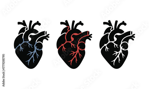 Anatomical Human Heart Silhouettes with Colored Veins and Arteries, vector, illustration.