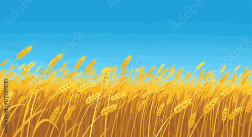 Golden Wheat Field Under Blue Sky