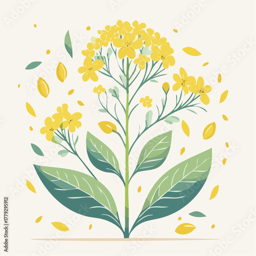A detailed illustration of a vibrant yellow rapeseed flower with green leaves and scattered petals on a light cream background with a simple artistic style
