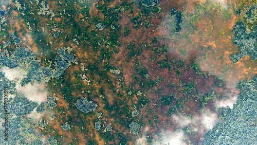 Obraz na plátně Top down view of a colorful swamp surface reflecting the white clouds in the dar