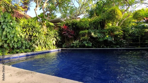 A pool in Bali with tropical plants around