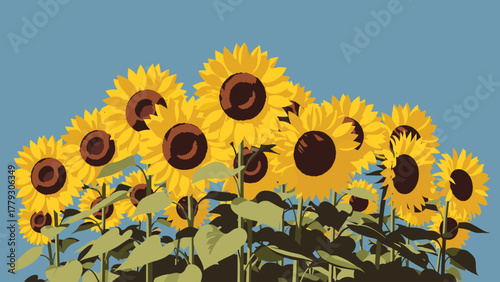 Bright Sunflowers Field with Blue Sky. Summer Floral Vector Illustration