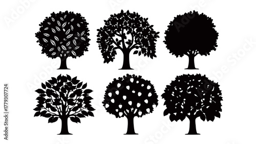 Silhouetted Tree Collection: A collection of six various tree silhouettes, perfect for adding a touch of nature and artistic flair to any project. These trees offer a versatile design element.