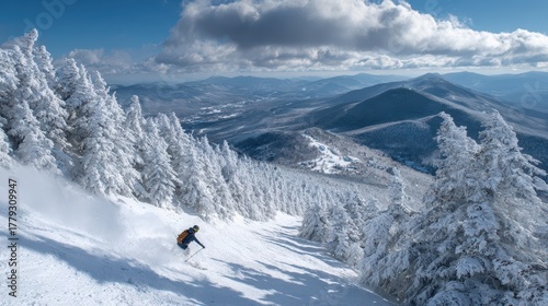 Wallpaper Mural Ski Vermont in Stowe: Expert Skier in Sunny Day Adventure Torontodigital.ca