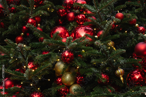 Details decorated Christmas tree with red, golden baubles and garland. Xmas card and pattern. Close up. Winter. Outdoor.