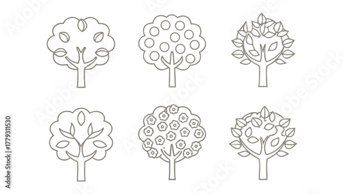 Botanical Variety: A collection of six meticulously crafted tree illustrations, showcasing diverse arboreal forms and natural design.