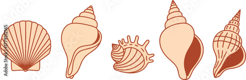 Collection of five different seashells