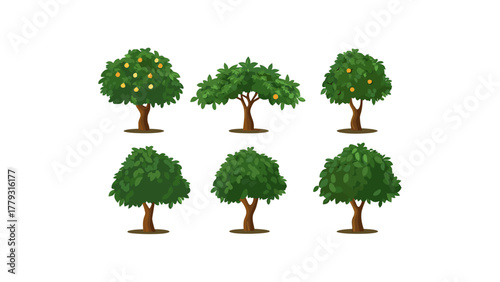 Variety of trees: A set of six unique trees showcasing diversity in nature, providing an insight into botanical structures and natural forms.