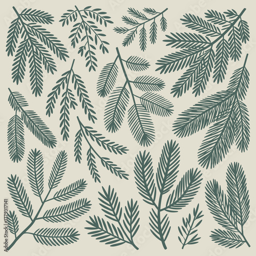 Collection of pine and fir tree branches with detailed needles