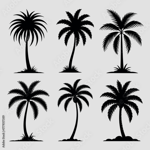 Collection of silhouette palm trees on a plain background