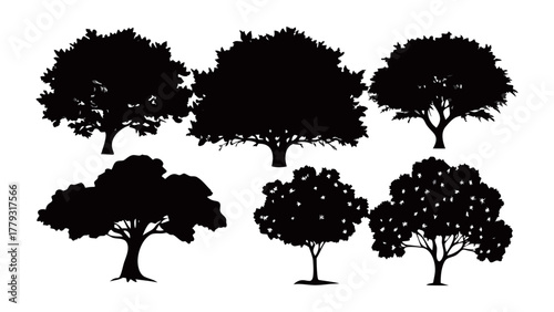 Silhouette of Arboreal Harmony: A collection of meticulously crafted tree silhouettes stands in striking contrast, their dark forms outlined against a neutral background.
